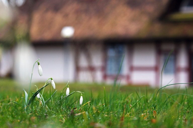Des améliorations à faire au niveau du jardin pour augmenter l’attrait de la vente de votre bien