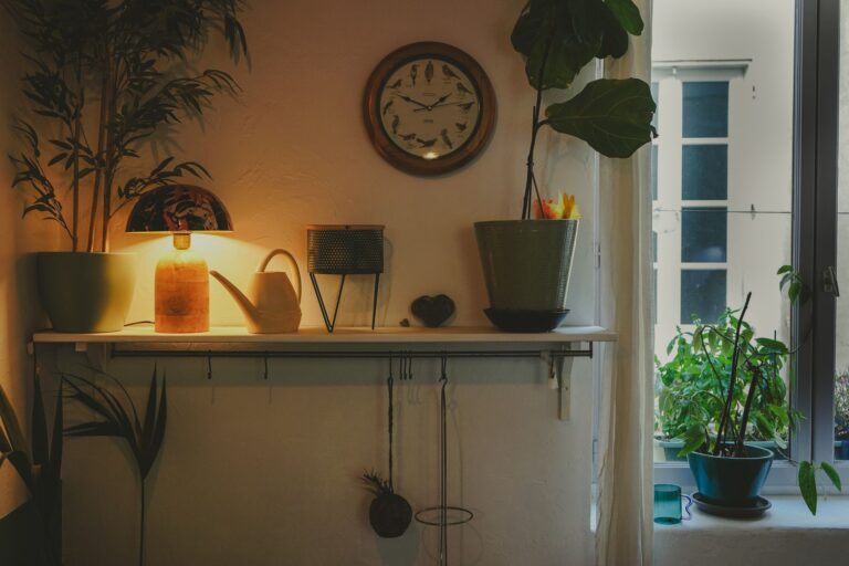 Comment réussir la décoration de son intérieur sans se ruiner ?